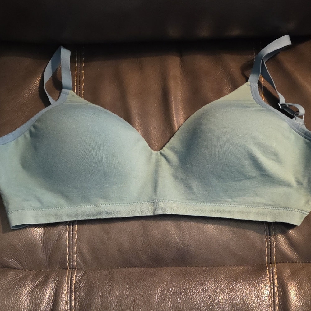 ThirdLove Light Green Bra
